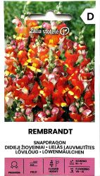 Snapdragon Rembrandt Seed